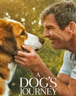 A Dog's Journey (2019) [MA 4K]