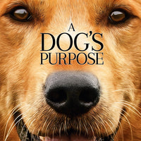 A Dog's Purpose (2017) [MA HD]