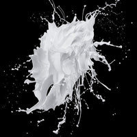 Bait (2012) [Vudu HD]