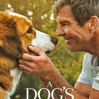 A Dog's Journey (2019) [MA 4K]