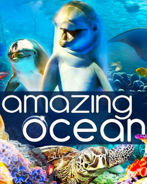 Amazing Ocean (2013) [MA HD]