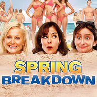 Spring Breakdown (2009) [MA HD]