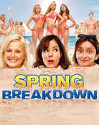 Spring Breakdown (2009) [MA HD]