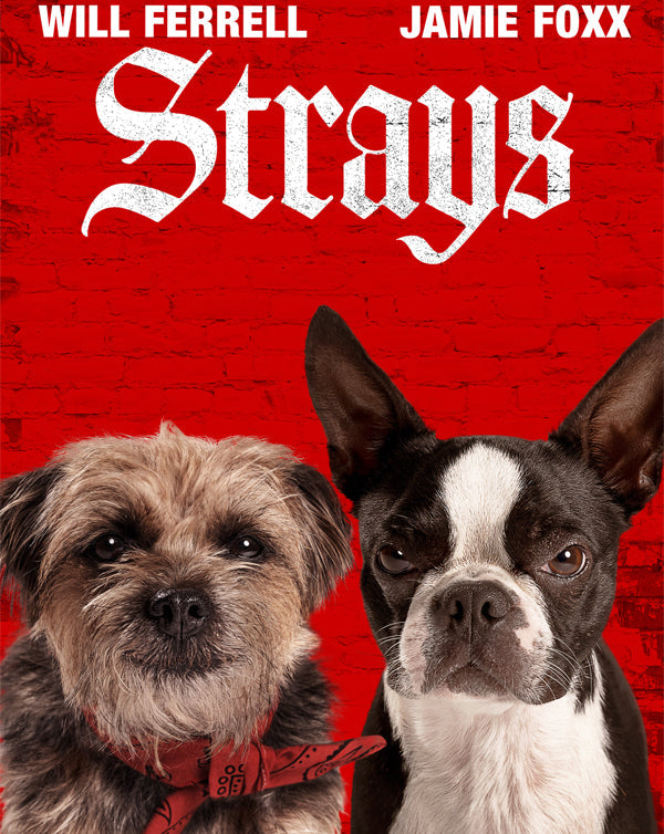 Strays (2023) [MA 4K]