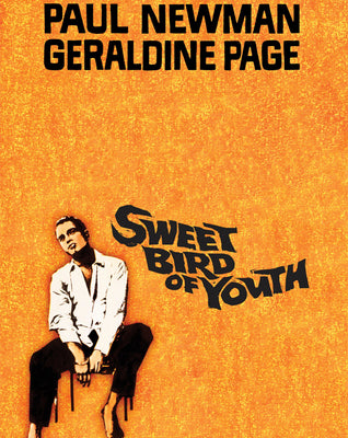 Sweet Bird of Youth (1962) [MA HD]