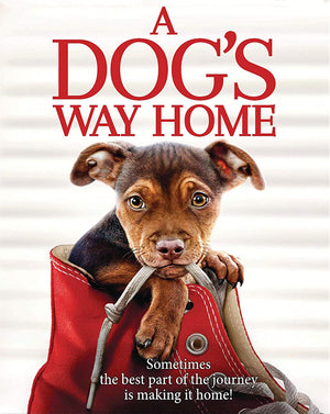 A Dog's Way Home (2019) [MA HD]