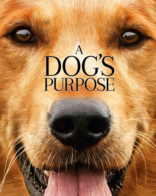 A Dog's Purpose (2017) [Ports to MA/Vudu] [iTunes HD]