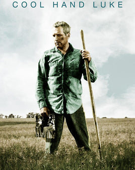 Cool Hand Luke (1967) [MA HD]