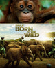 IMAX Born To Be Wild (2011) [MA HD]