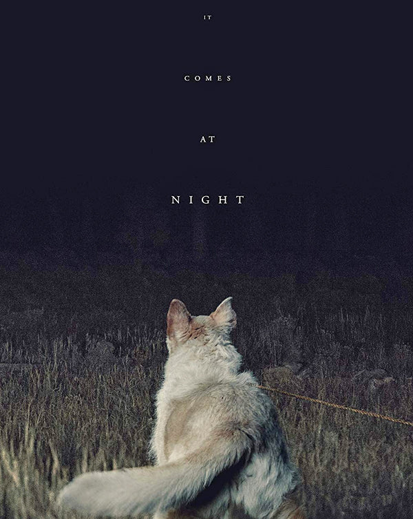 It Comes At Night (2017) [Vudu HD]