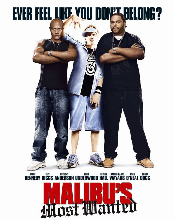 Malibu's Most Wanted (2003) [MA HD]