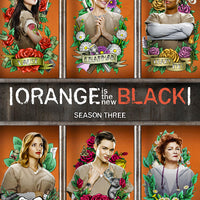 Orange is the New Black: Season 3 (2015) [Vudu HD]