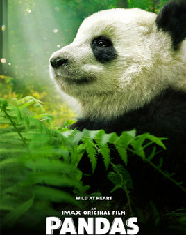 Pandas (2018) [IMAX] [MA 4K]
