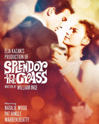Splendor in the Grass (1961) [MA HD]