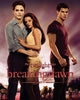 The Twilight Saga Breaking Dawn Part 1 Extended Edition (2011) [T4] [iTunes SD]