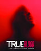 True Blood Season 6 (2013) [Vudu HD]